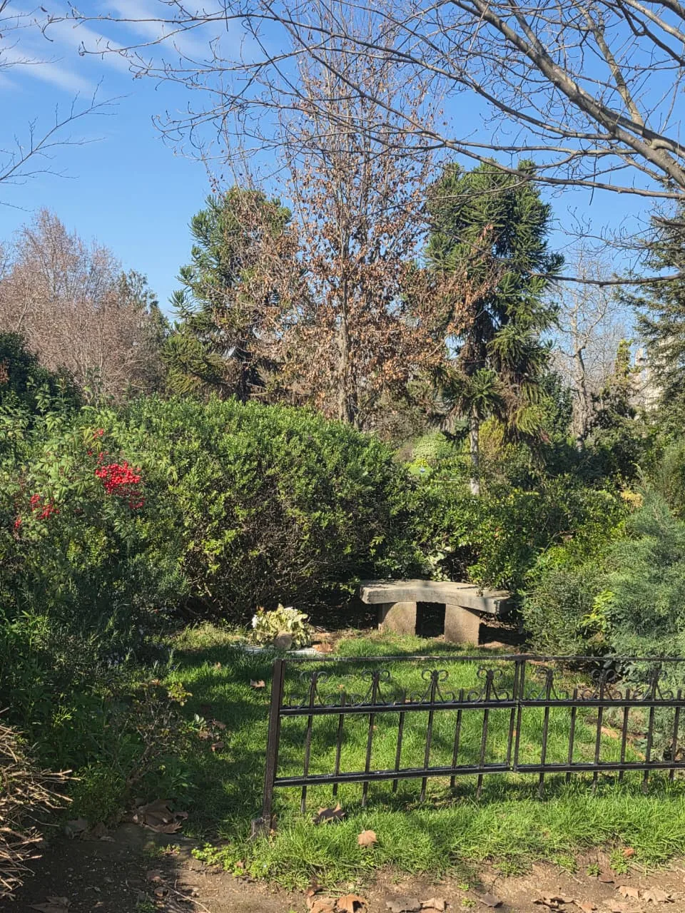 Área delimitada de Jardín Familiar en Parque del Recuerdo Cordillera