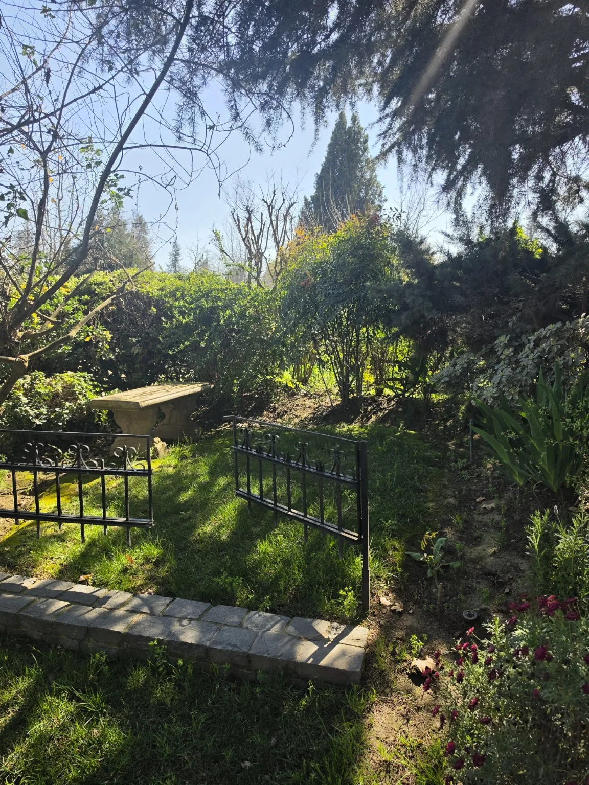 Sector de Jardín Familiar con banca y área verde en Parque del Recuerdo