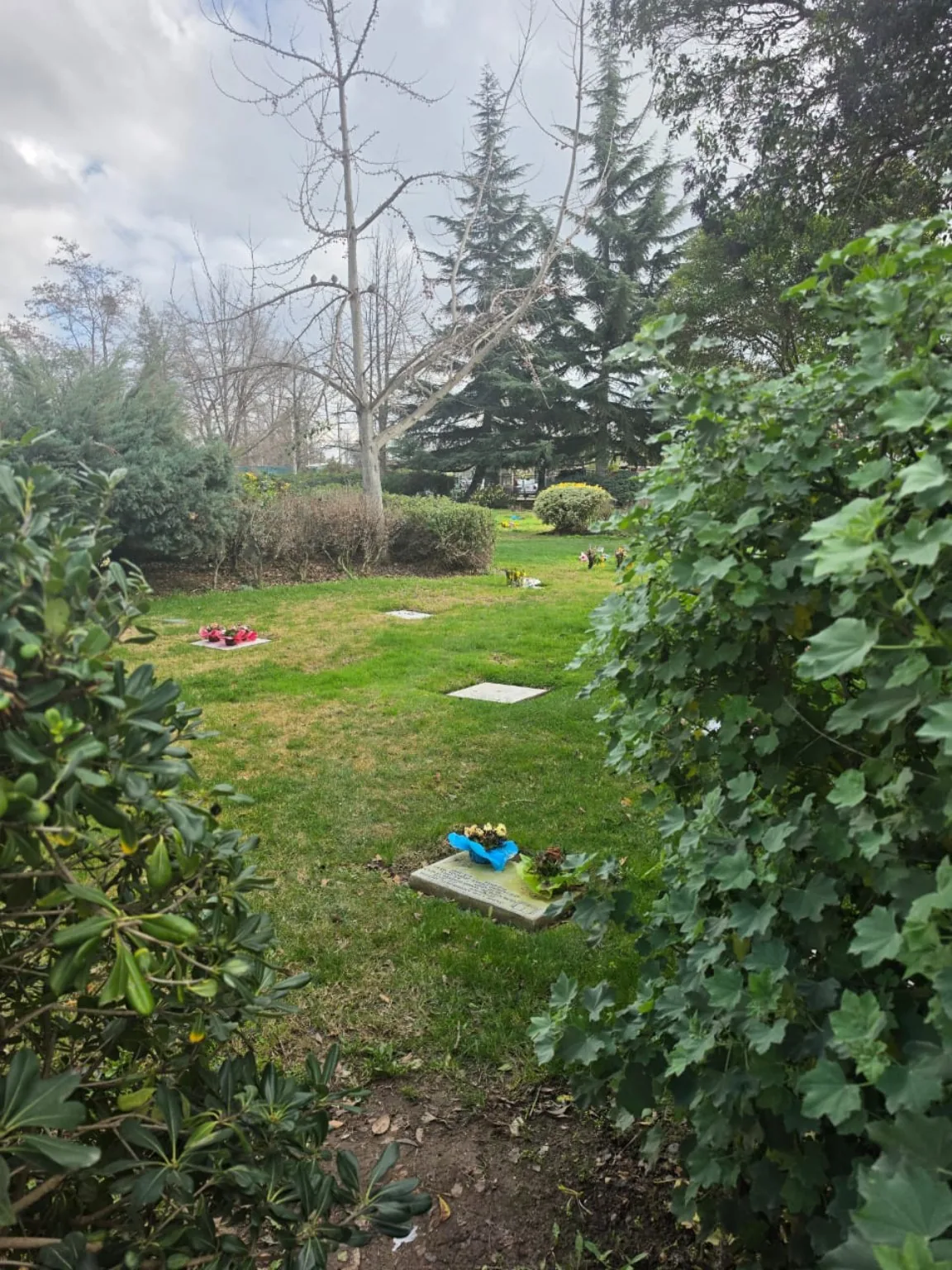 Sepulturas rodeadas de árboles, flores y vegetación en Parque del Recuerdo