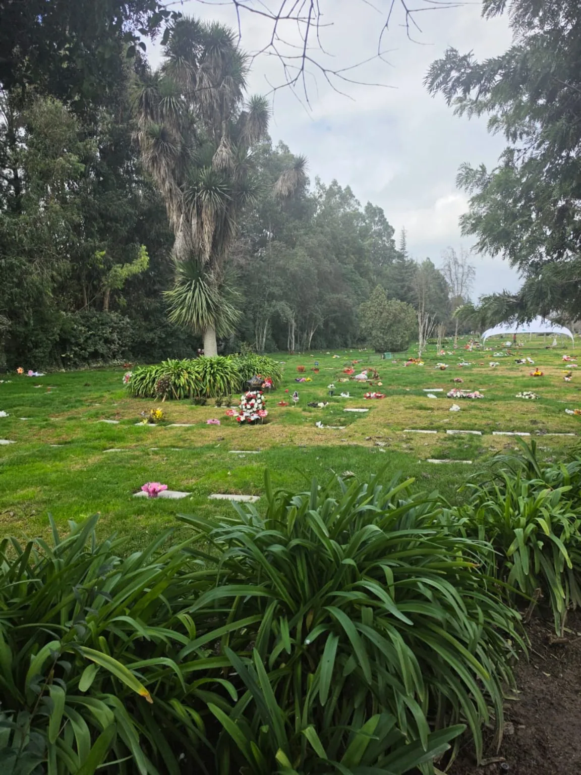 Sepulturas a nivel de césped en jardines de Parque del Recuerdo